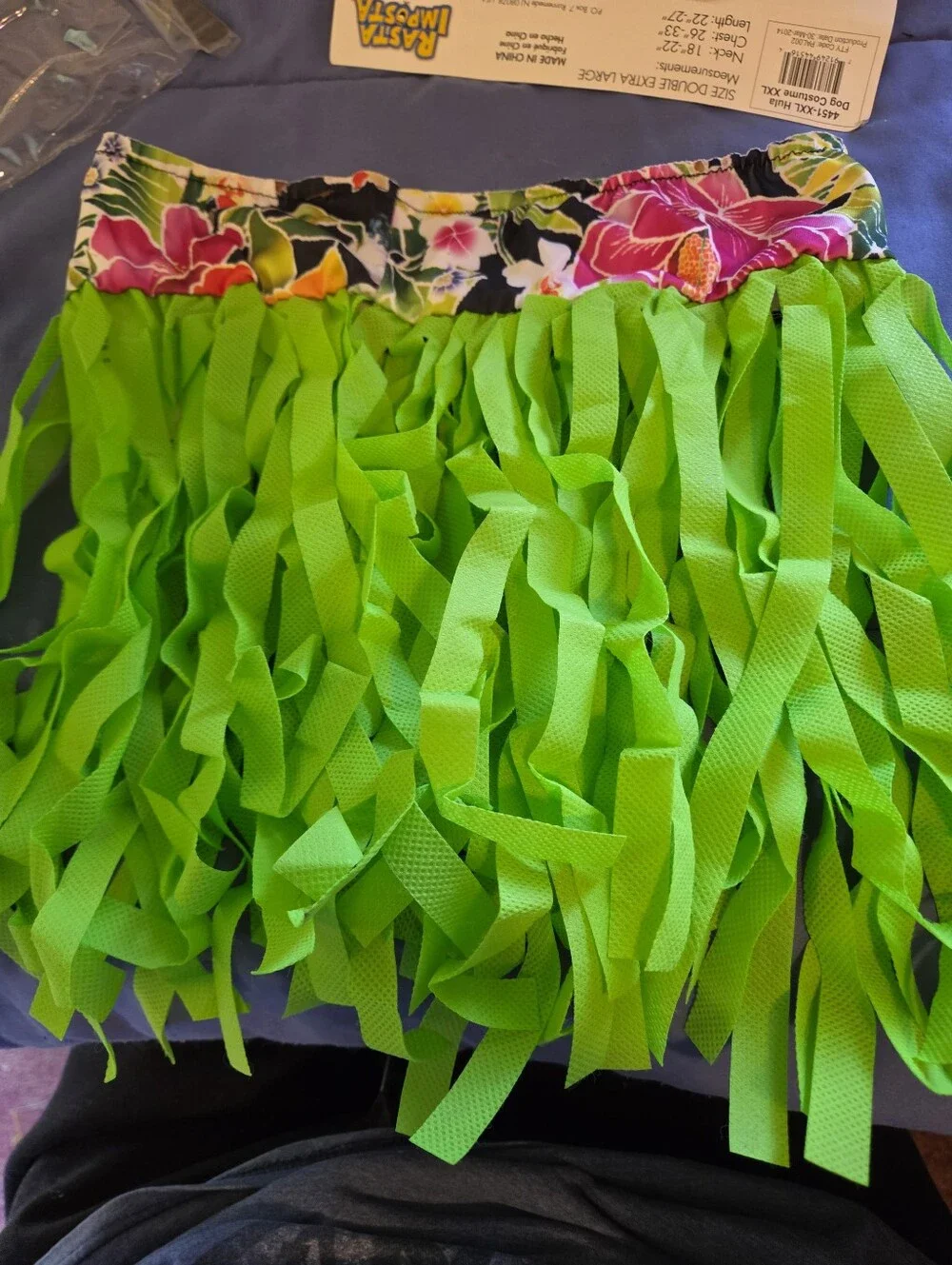 Zelda Wilson Hula Dog Costume